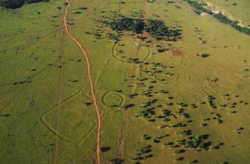 Неожиданная находка: в лесах Амазонки обнаружены сотни загадочных сооружений