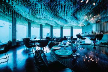Трапеза под водой: как выглядит один из самых известных ресторанов планеты (ФОТО)