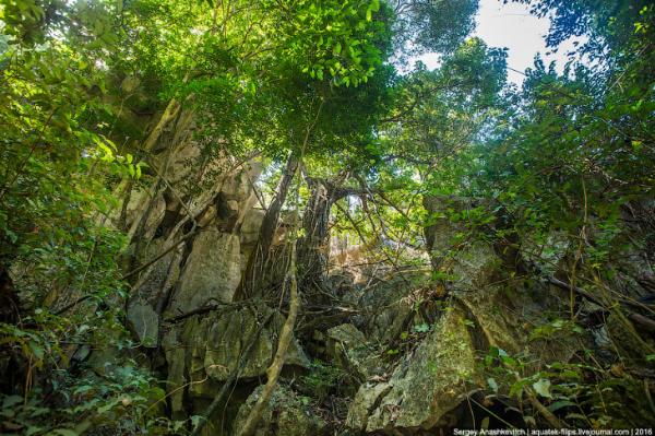 Каменные джунгли Мадагаскара (ФОТО)