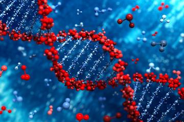 Ученые изобрели новый способ редактирования ДНК