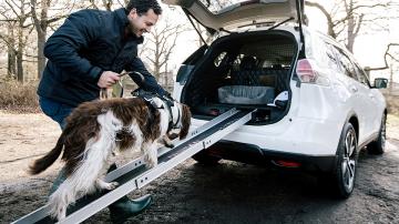Nissan X-Trail обзавелся «собачьей» версией (ФОТО)