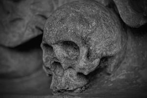 Найденные в Китае древние черепа перевернули представление ученых об истории