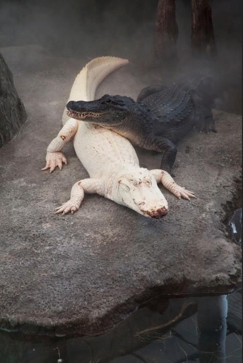 Эти снимки перевернут ваши представления о мире (ФОТО) Эти снимки перевернут ваши представления о мире (ФОТО)