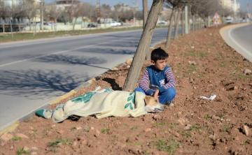 Вера в человечество восстановлена: маленький беженец из Сирии отказался покинуть раненого пса (ФОТО)