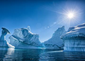Ученые зафиксировали в Антарктиде температурный рекорд‍