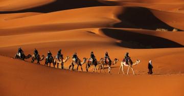 Ученые: Причиной появления пустыни Сахары мог быть человек