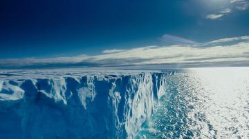 Ученые выяснили причины озеленения льдов Арктики