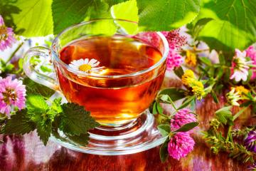 Регулярный прием травяного чая вызывает рак, - ученые 