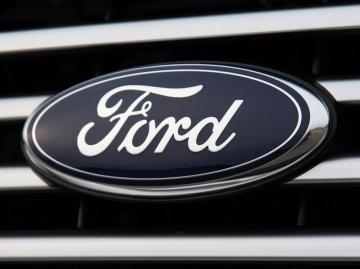 Ford планирует использовать бамбук в автомобилестроении