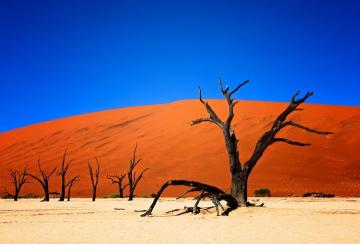 10 фото, после просмотра которых вам захочется посетить Намибию (ФОТО)