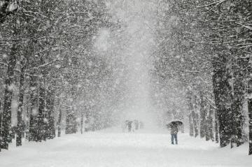 Молдову накрыли мощные снегопады, обесточены сотни населенных пунктов