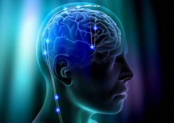 Ученые обнаружили эффективный способ восстановления памяти