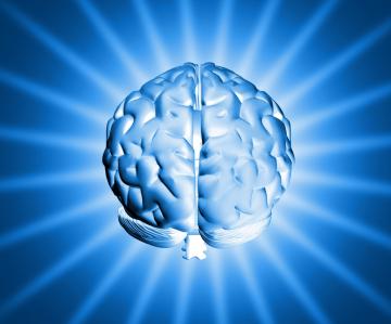 Новое исследование показало, зачем мозгу два полушария