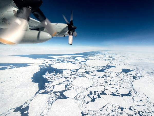 15 фотографий, после просмотра которых вам захочется посетить Антарктиду (ФОТО)