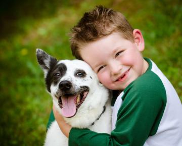 10 причин не оставлять детей наедине с домашними животными (ФОТО)