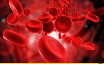 Учёные обнаружили преимущества 1-й группы крови