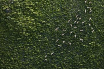 Красота Южной Африки с высоты птичьего полета (ФОТО)