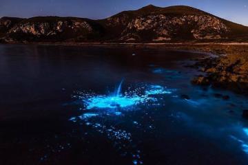 Волшебница-Природа: Мистическое свечение у берегов Тасмании очаровывает туристов (ФОТО)