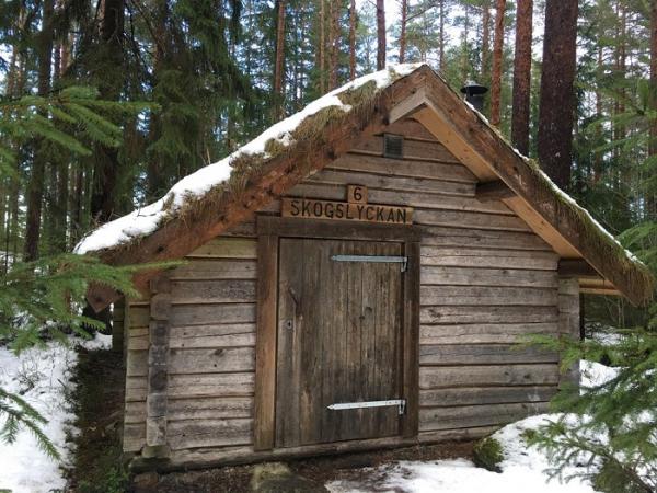Максимальное сближение с природой: самый популярный эко-отель в Швеции (ФОТО)