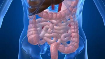 Бактерии в кишечнике могут стать причиной развития инсульта, - медики