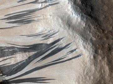 Ученые нашли создателей таинственных полос на Марсе