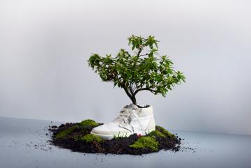 В Великобритании выпустят «зеленую» обувь из водорослей