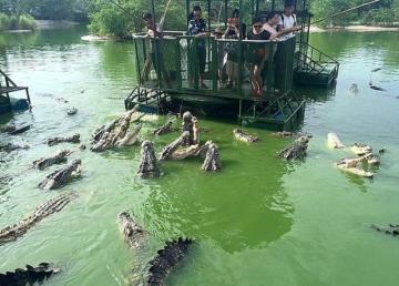 В Таиланде туристам предлагают посетить аттракцион с голодными крокодилами (ФОТО)