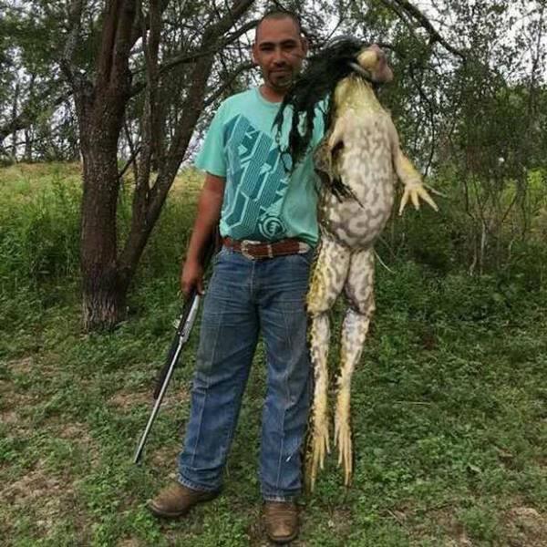 В США охотник поймал 6-килограммовую царевну-лягушку (ФОТО)