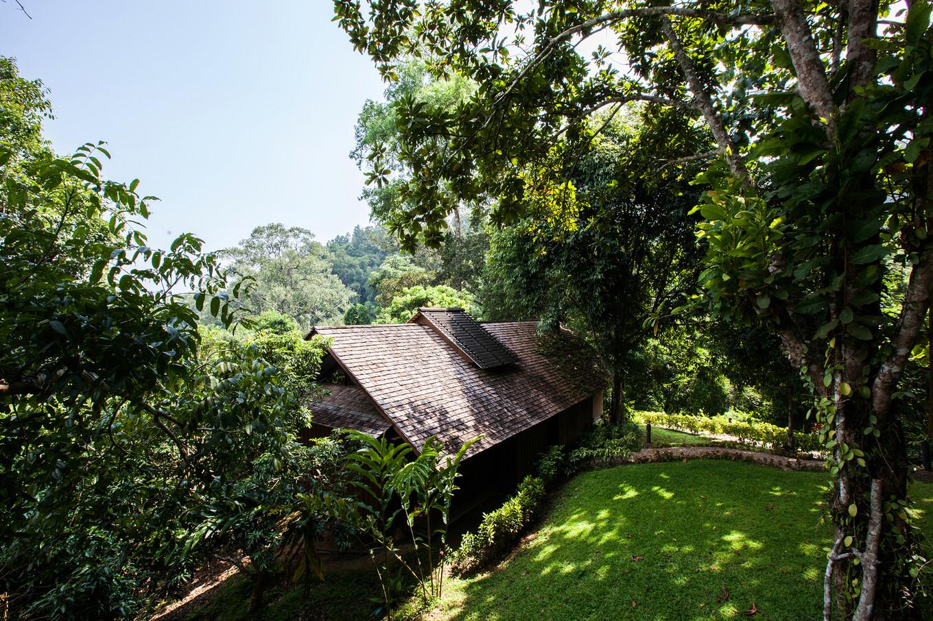 Интеграция с природой: Hill Lodge — отель в джунглях Таиланда (ФОТО)