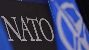 На пути к НАТО: какое будущее у Грузии и Украины