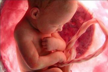 Ученые: Младенцы способны распознавать лица еще в утробе матери