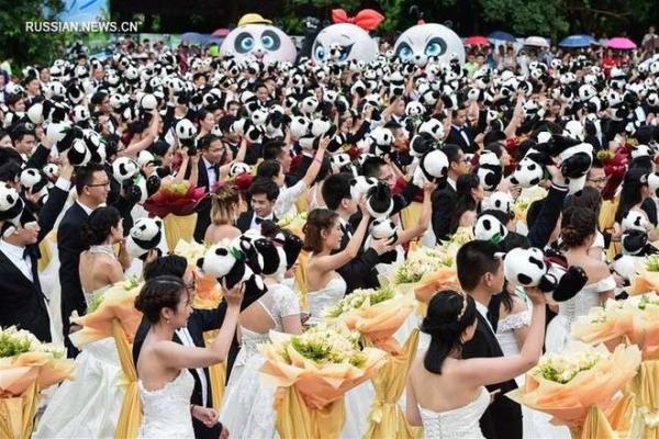 227 поводов для счастья: коллективная свадьба в Китае (ФОТО)