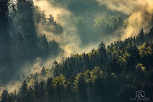 Красоты Европы: фотограф снимает сказочные пейзажи Словении (ФОТО)
