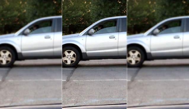 Новый хит: нетерпеливая собака жмет на гудок автомобиля, поторапливая хозяина (ВИДЕО)