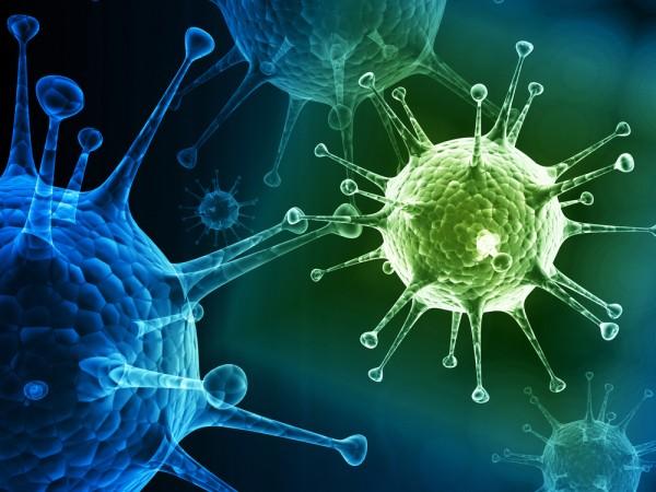 Учёные предупреждают о приближении нового смертельного вируса