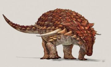 Археологи откопали костяную броню «самого неуязвимого» динозавра