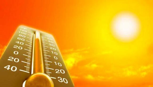Смертность от жары на Земле может увеличиться в 50 раз - исследование