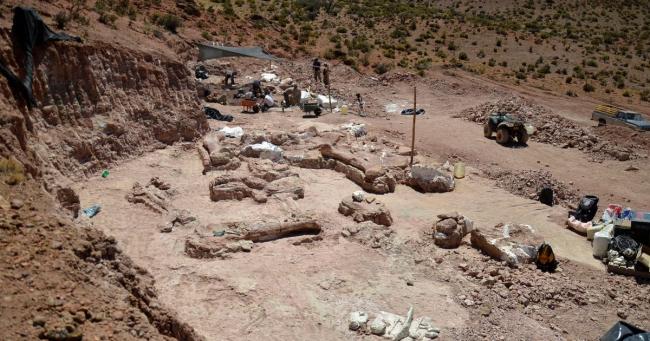 Останки самого большого динозавра в мире нашли в Аргентине