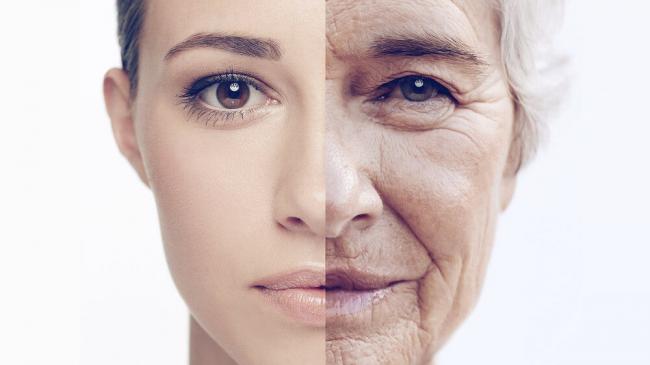 Ученые нашли доступный способ замедлить старение
