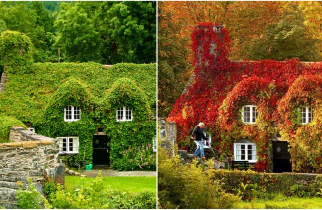 Осенние преображения: пейзажи до и после (ФОТО)