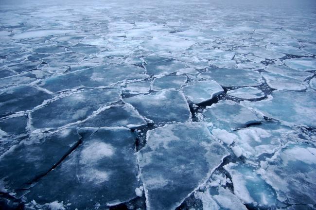 Ученые прогнозируют ледниковый период в ближайшие 10 лет