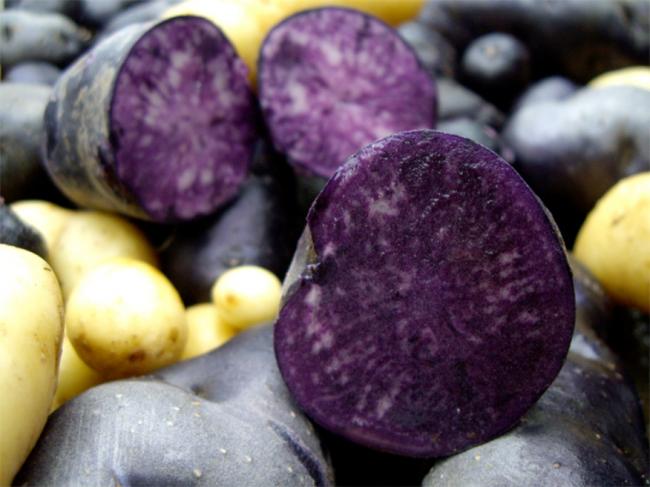 Ученые рассказали о пользе фиолетового картофеля
