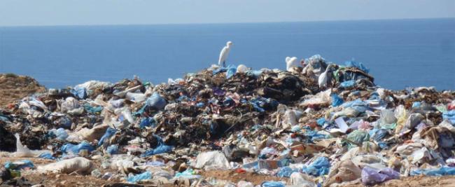Ученые призвали жителей Земли отказаться от использования пластиковой упаковки‍