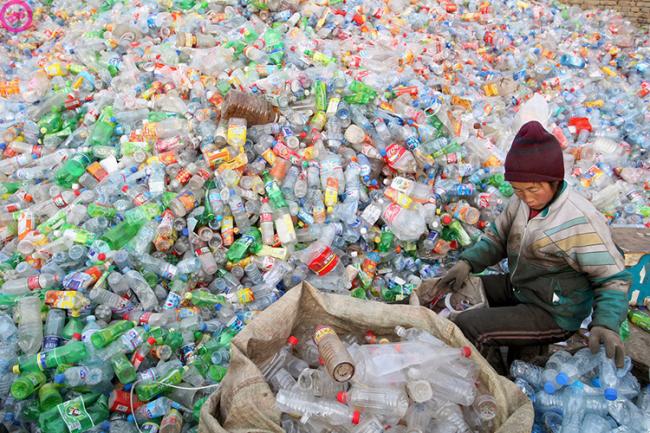 Ученые нашли новый способ борьбы с пластиковыми отходами 