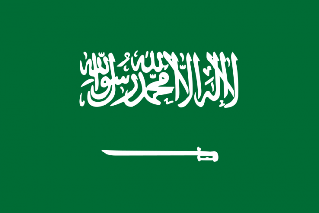 Борьба с коррупцией: В Саудовской Аравии задержали более 200 человек