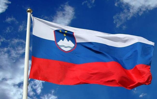 Низкая явка и «второй срок»: Словения провела выборы президента