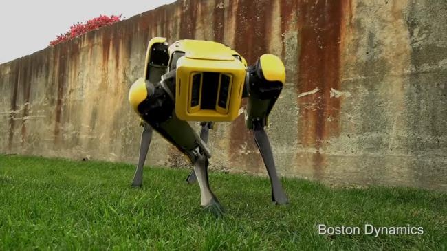 Boston Dynamics представила «милого» четвероногого робота (ВИДЕО)