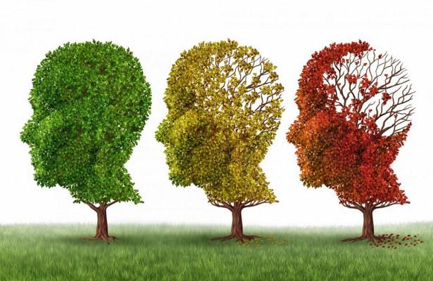 Исследование: образование спасает от Альцгеймера