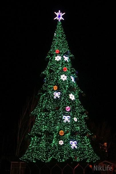 Стало известно, в каком городе установлена самая дорогая новогодняя елка страны (ФОТО)