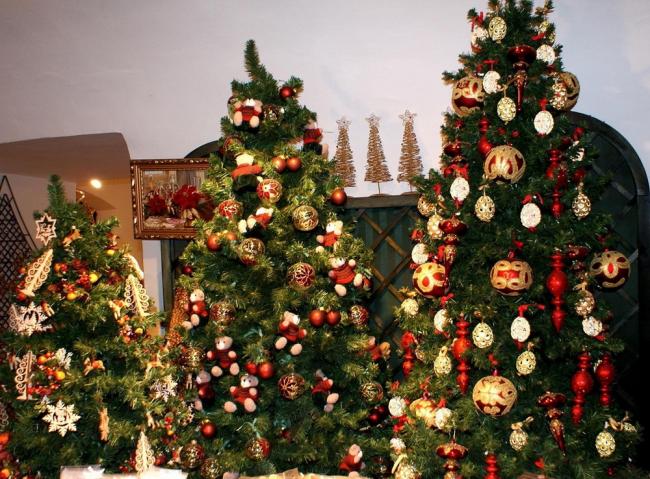 Ученые рассказали об опасности новогодней елки для здоровья человека